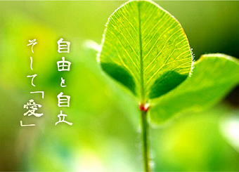 医療法人 慧眞会 介護老人保健施設 サングレイスの看護師/准看護師 介護施設 介護老人保健施設 正社員の求人情報イメージ1